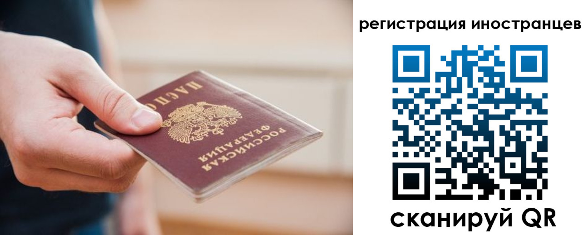 прописка гарантия в Гусеве